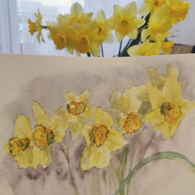 Croquis | Jonquilles à l’aquarelle