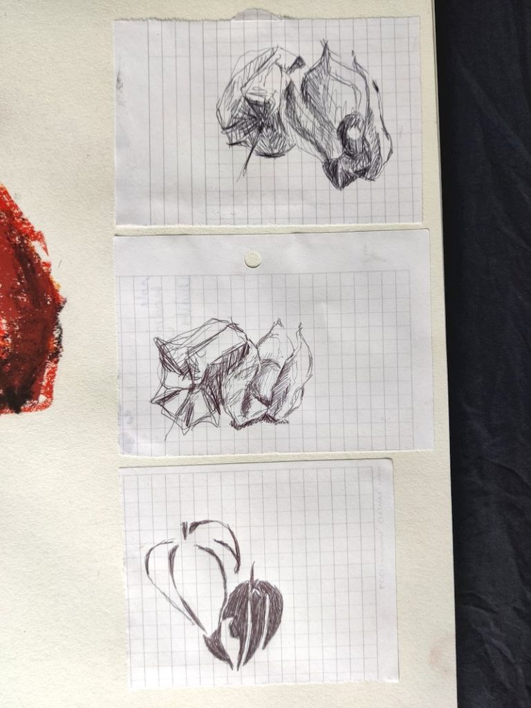 Trois croquis au stylo bille collé sur une feuille ; différents essais de physalis