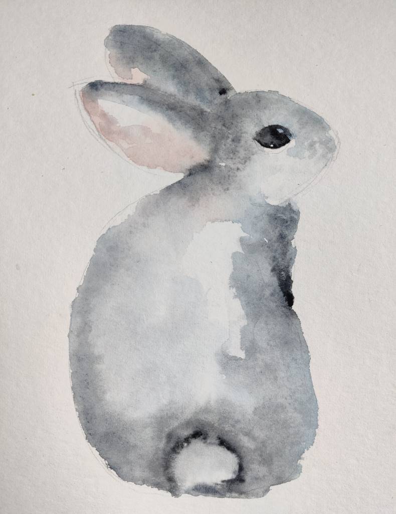 Croquis | lapin à l’aquarelle