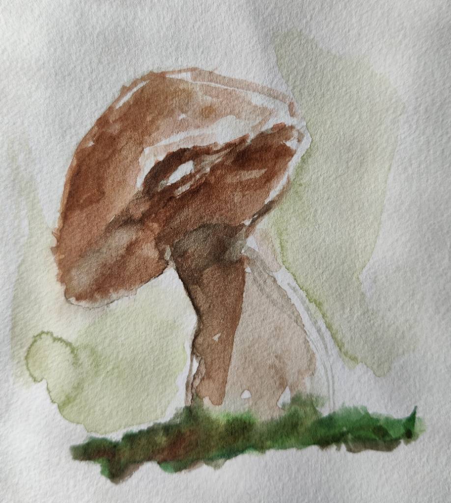 Croquis | Champignon