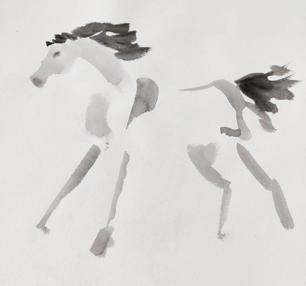 Croquis | Cheval galopant