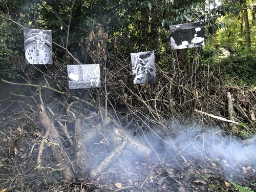 Dans un sous-bois, des tableaux accrochés, photos en noir et blanc et un peu de fumée