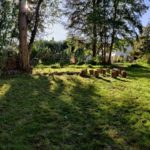 Au soleil couchant, une lumière rasante met en valeur une petite étendue d'herbe, du land art avec quelques tronçons de bois, des arbres et, dans le fond, une batisse