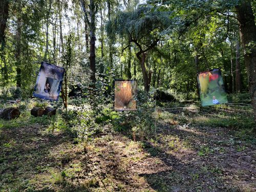 Dans un bois, trois grandes affiches accrochées (hors champ : entre des arbres) par deux cordes tendues