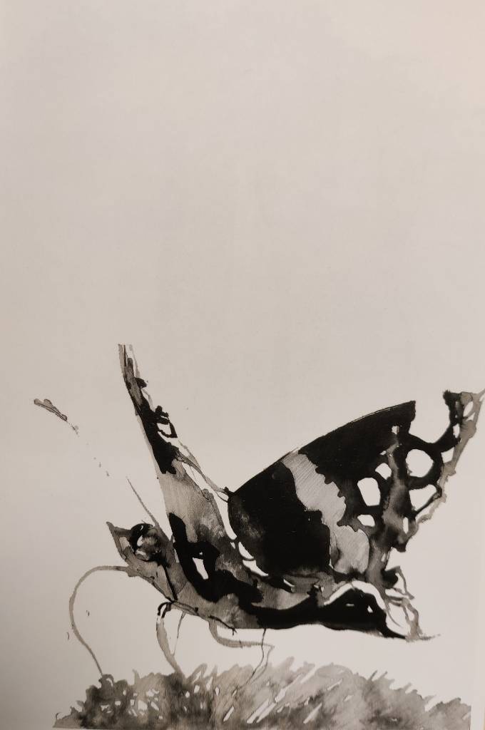 Un papillon en gros plan à l'encre noire