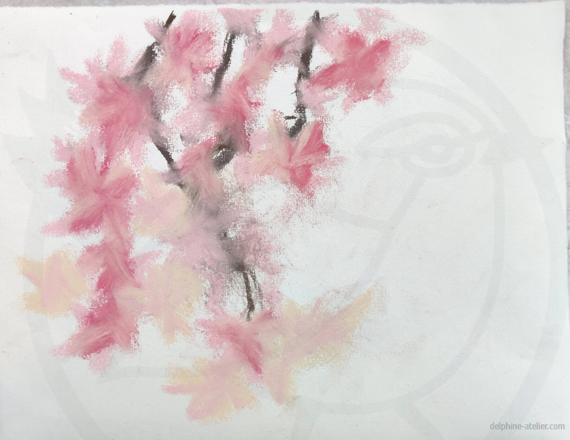 Dessin aux pastels de plusieurs branches descendant avec des "pompons" de fleurs roses