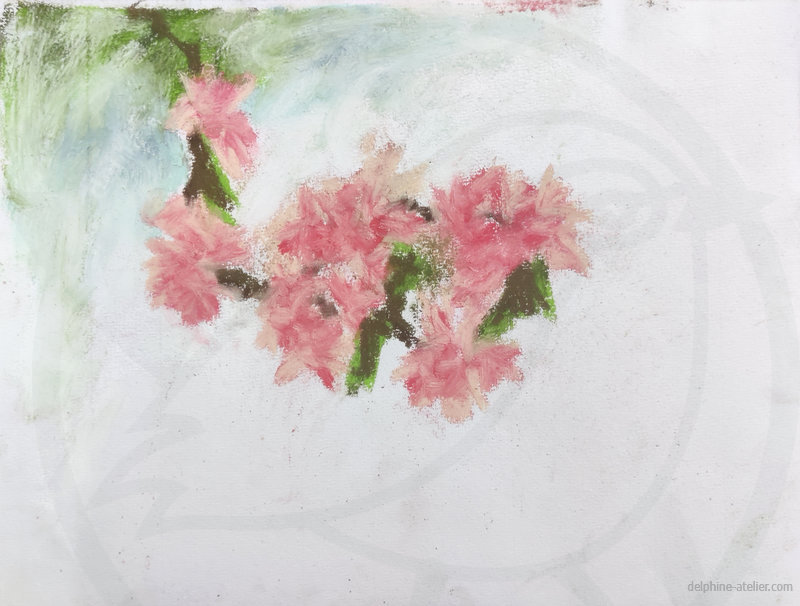 Dessin aux pastels d'une branche descendant avec des "pompons" de fleurs roses et quelques feuilles