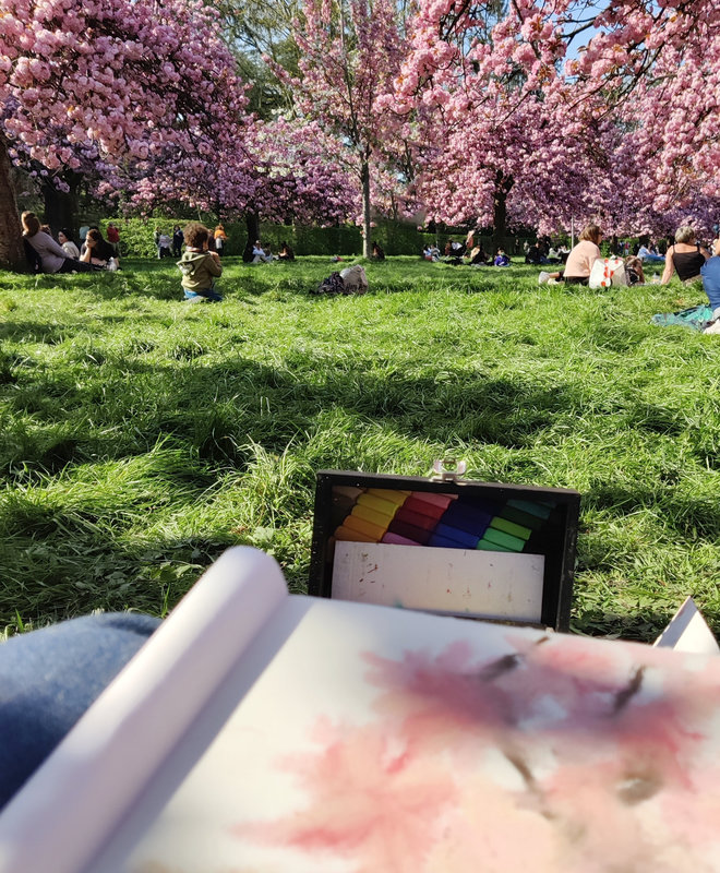 Au premier plan, un dessin en cours, dans le fond, des cerisiers en fleurs